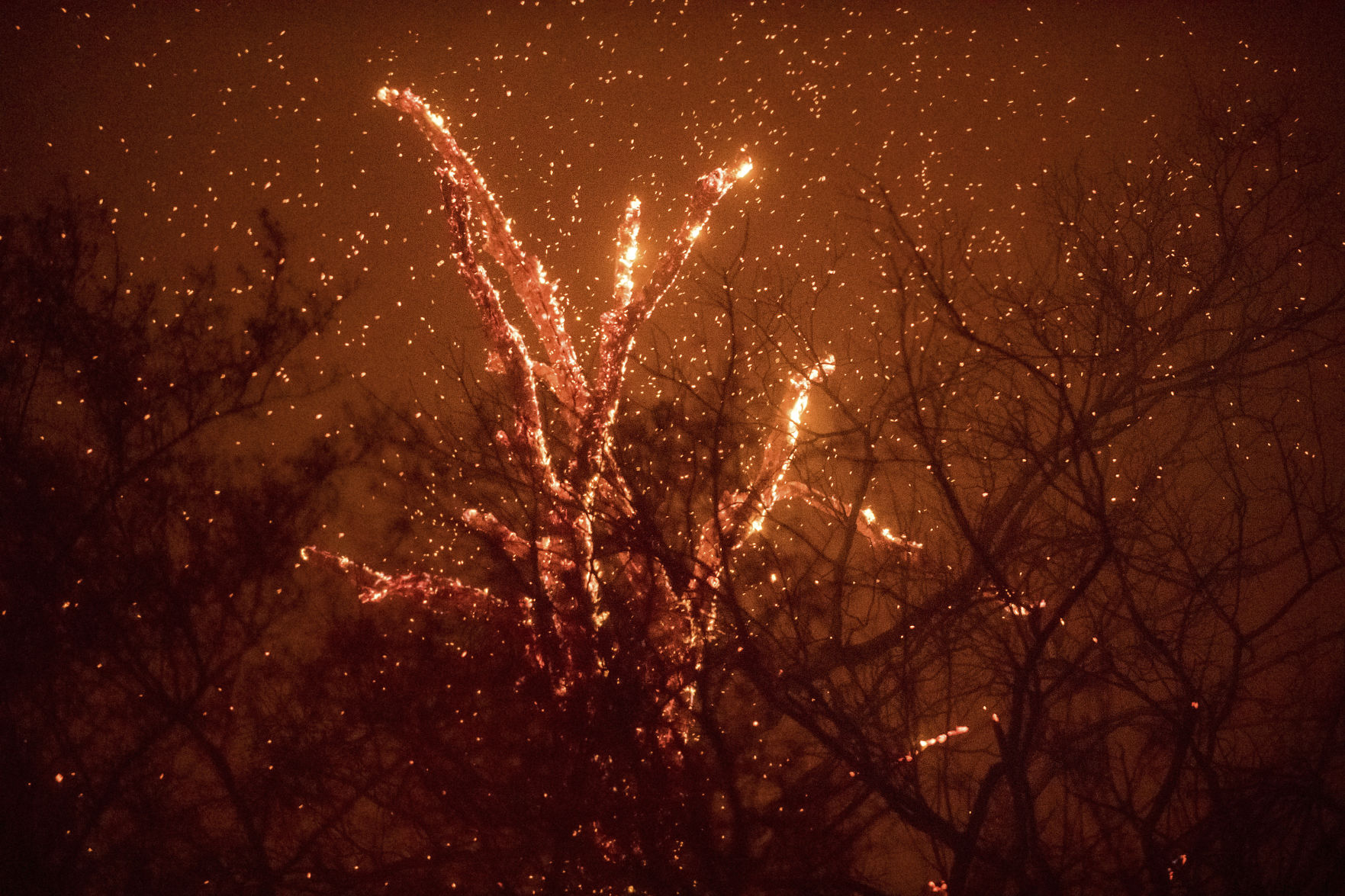 California Wildfires